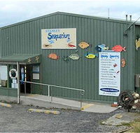 Stanley Seaquarium - New Castle Holiday