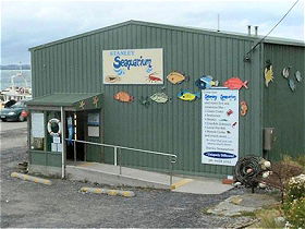 Stanley Seaquarium - New Castle Holiday 0