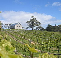 Bruny Island Premium Wines Bar and Grill - New Castle Holiday