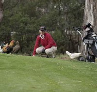 Tasmania Golf Club - The - New Castle Holiday