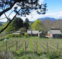 Wilmot Hills Vineyard - New Castle Holiday