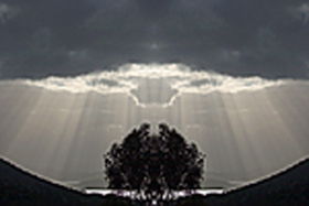 Activities Darlington Point ACT New Castle Holiday