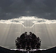 aart. Gallery of Fine Art - New Castle Holiday