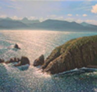 Colville Street Art Gallery - New Castle Holiday