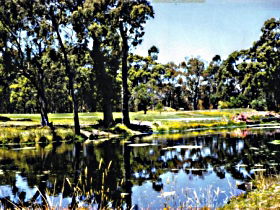 Alcomie TAS New Castle Holiday