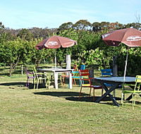 Cerise Brook Orchard  Family Golf - New Castle Holiday