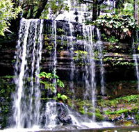 Mt Field National Park - New Castle Holiday