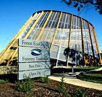 Forest EcoCentre - New Castle Holiday