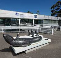 Australia's Antarctic Headquarters - New Castle Holiday