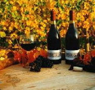 Craigow Vineyard - New Castle Holiday