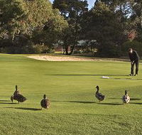 Royal Hobart Golf Club - New Castle Holiday