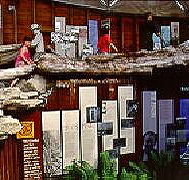 West Coast Visitor Information and Booking Centre - New Castle Holiday