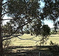 Cygnet Public Golf Course - New Castle Holiday