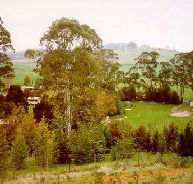 The Tasmanian Arboretum - New Castle Holiday
