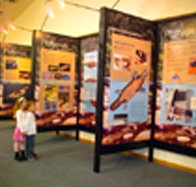 Platypus Experience - New Castle Holiday