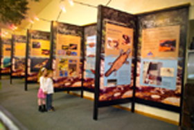 Platypus Experience - New Castle Holiday 0