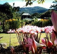 Blueberry Cottage Open Gardens - New Castle Holiday