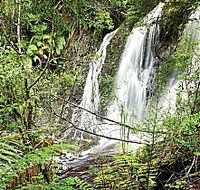 Hogarth Falls - New Castle Holiday
