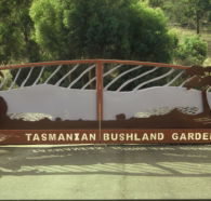 Tasmanian Bushland Garden - New Castle Holiday