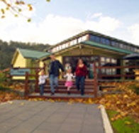 Australian Axeman's Hall of Fame - New Castle Holiday