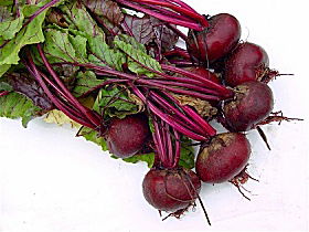 Sorell Market - New Castle Holiday 0