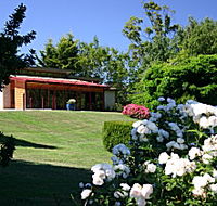 Villarett Gardens - New Castle Holiday