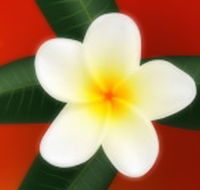 Well Retreat - Day Spa and Teahouse - New Castle Holiday