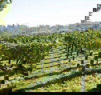 Surveyor's Hill Vineyards - New Castle Holiday