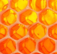 The Honey Pot - New Castle Holiday