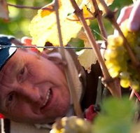 Puddleduck Vineyard - New Castle Holiday