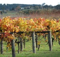 Apsley Gorge Vineyard - New Castle Holiday