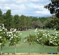 RMC Golf Club - New Castle Holiday