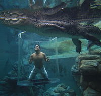 Crocosaurus Cove - New Castle Holiday