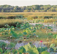Fogg Dam Conservation Reserve - New Castle Holiday