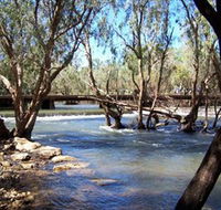 Low Level Nature Reserve - New Castle Holiday