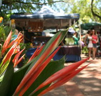 Nightcliff Markets - New Castle Holiday