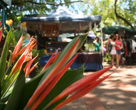 Nightcliff Markets - New Castle Holiday 0