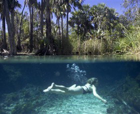 Bitter Springs - New Castle Holiday 0