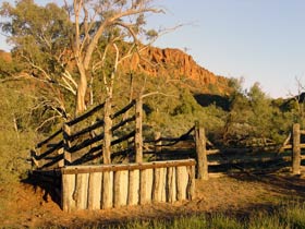 Illamurta Springs Conservation Reserve - New Castle Holiday 0