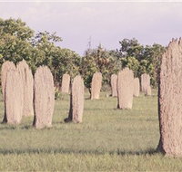Magnetic Termite Mounds - New Castle Holiday