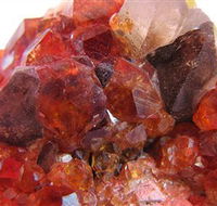 NT Rare Rocks - New Castle Holiday