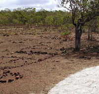 Wurrwurrwuy Garanhan Macassan Beach Interpretive Walk - New Castle Holiday