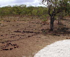 Wurrwurrwuy Garanhan Macassan Beach Interpretive Walk - New Castle Holiday 0