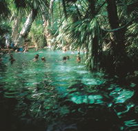 Mataranka Thermal Pool - New Castle Holiday