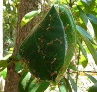 Greenant Creek Walk - New Castle Holiday