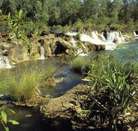 Flora River Nature Park - New Castle Holiday