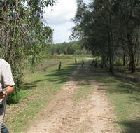 Coombabah Lakes Conservation Area - New Castle Holiday