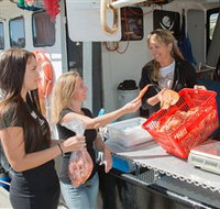 Gold Coast Fishermens Co-operative Limited - New Castle Holiday