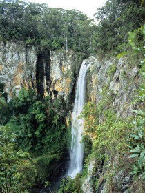Gondwana Rainforests Of Australia - New Castle Holiday 0
