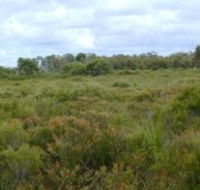 Pine Ridge Conservation Park - New Castle Holiday